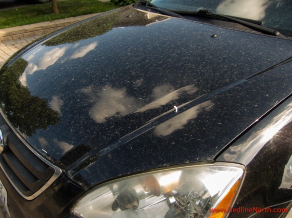 The challenge - three weeks of dirt and grime.